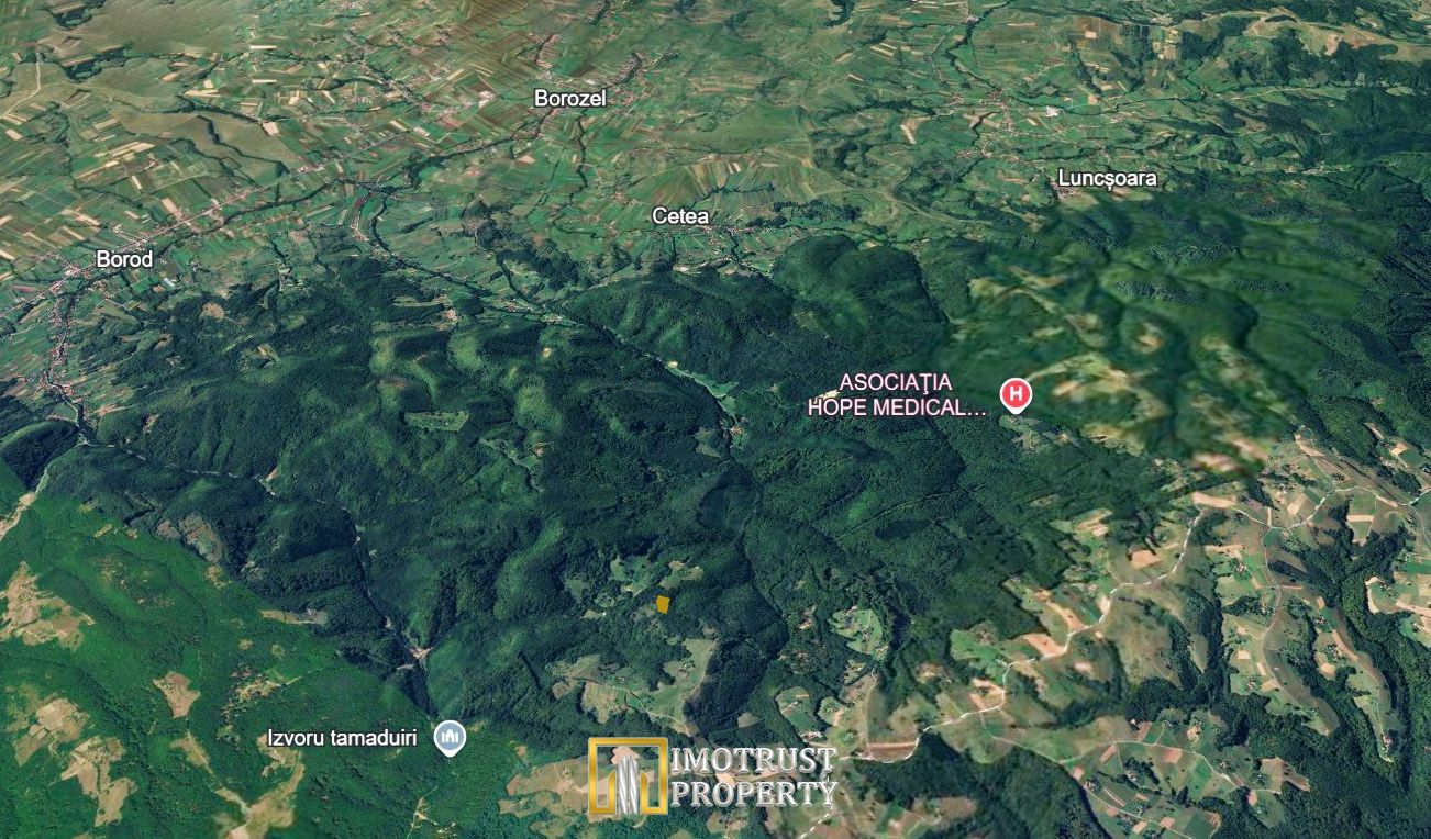 De vânzare teren extravilan  8,2037 ha pădure și pășune Borod, Bihor - Poză 2