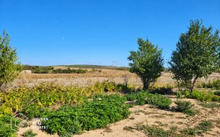 Teren Intravilan, 7000 mp, oras Lipova - Poză 3