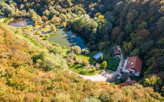 Domeniu în satul Căprioara - Poză 12