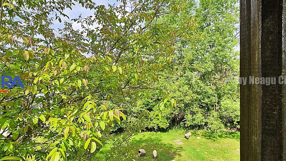 AZURA Imobiliare - Vila la 5 km de Curtea de Arges - Poză 43