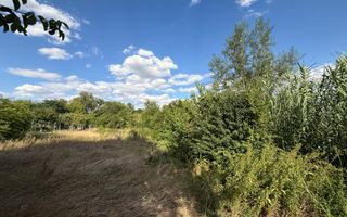 Casa + Teren 1676 Strada Principala Malul Mare - Poză 5