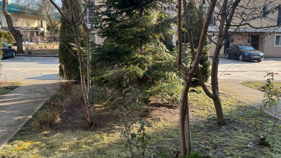 Casa de inchiriat- Cosmopolis - Poză 5