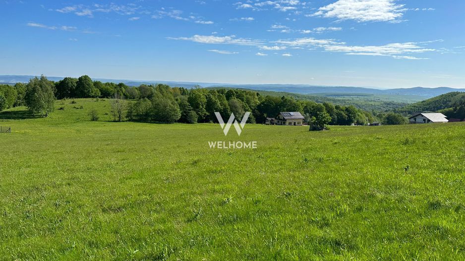 Teren Intravilan in Tocile-priveliste deosebita - Sadu - Sibiu - Poză 3