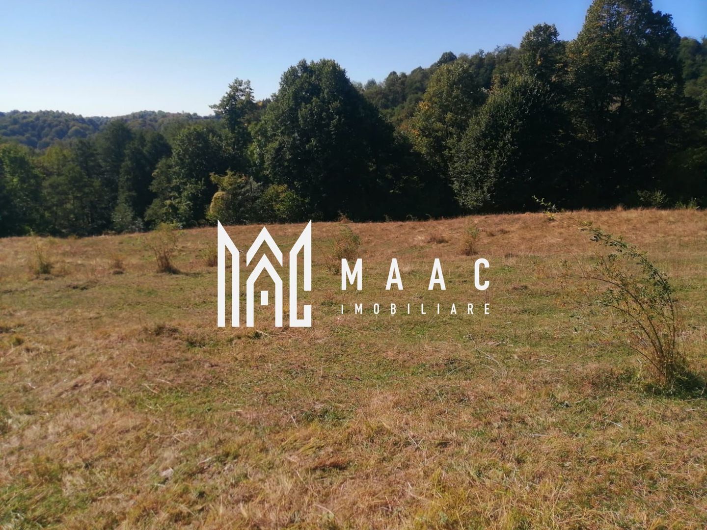 Teren Extravilan 20.000Mp I Stoenești -Vâlcea I Apă Curentă și Pădure - Poză 1