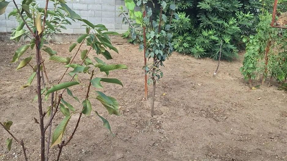 Apartament cu 1 camera. zona  Elisabetin - Poză 5