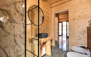 Apartament 1 camera in regim hotelier, Casa TIMIS - Poză 11