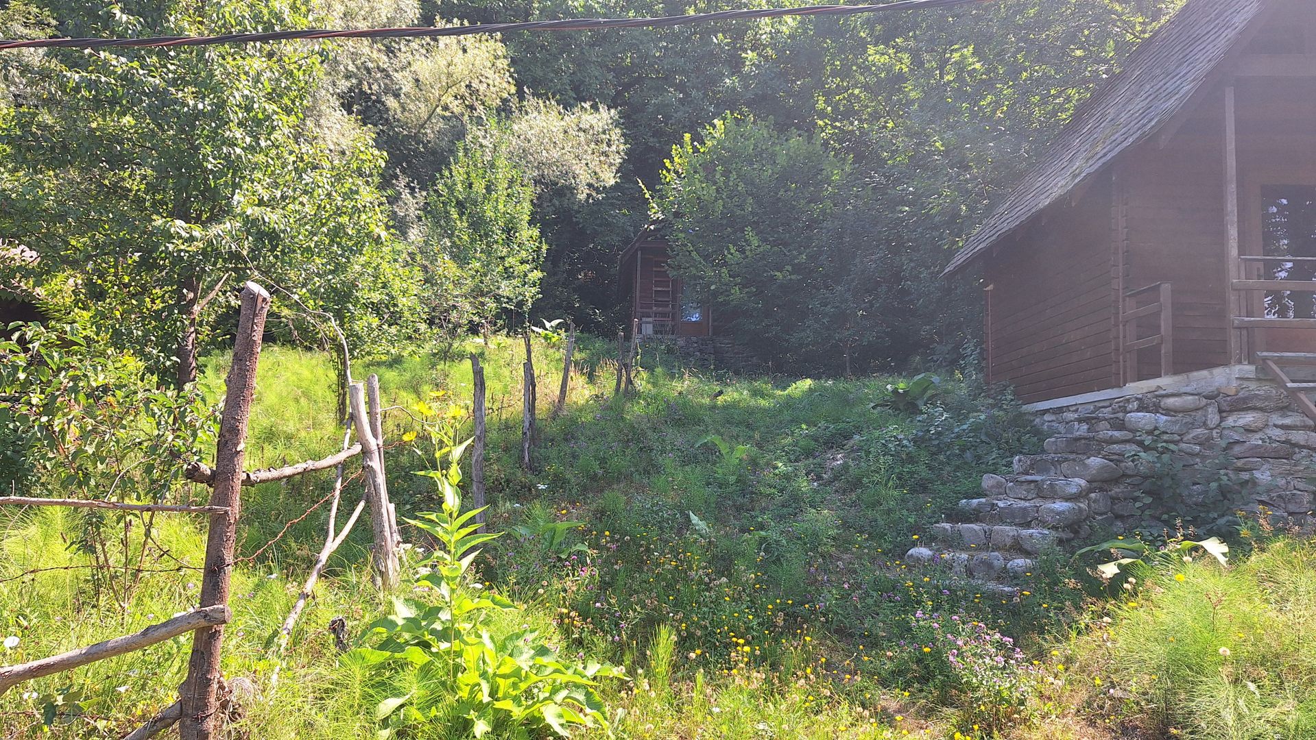 VANZARE ANSAMBLU CASUTE BRADULET ARGES - Poză 18