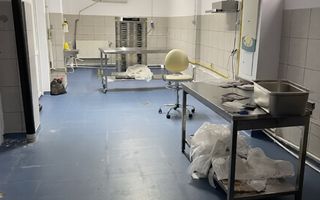 Spatiu comercial Horeca de inchiriat in zona Giulesti - Poză 5