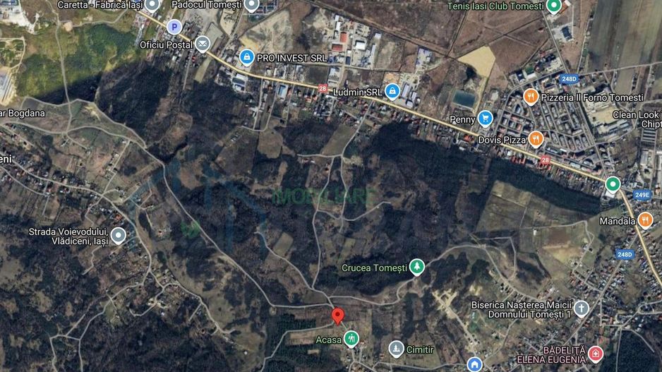 Teren intravilan de vânzare în Tomesti – Strada Văzduh nr. 1 - Poză 8