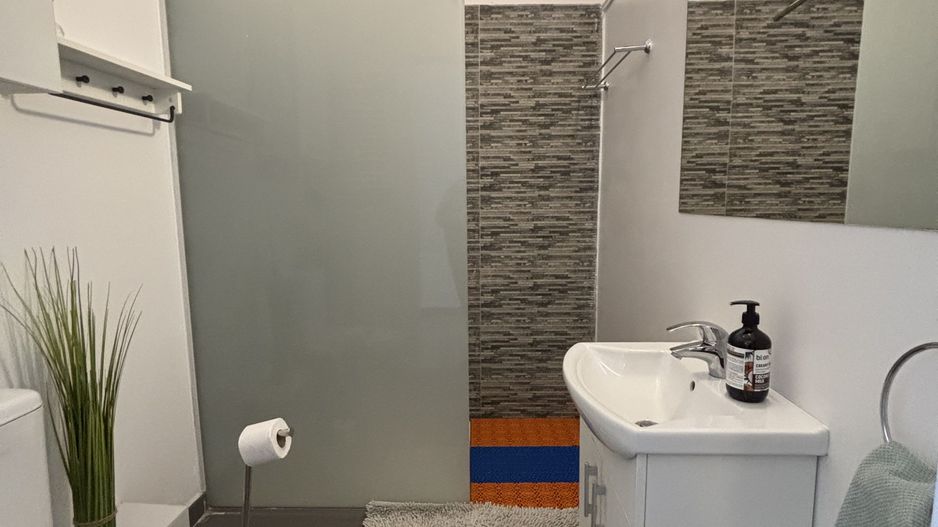 Apartament cu o camera în clădire istorică ,zona Maria - Poză 6