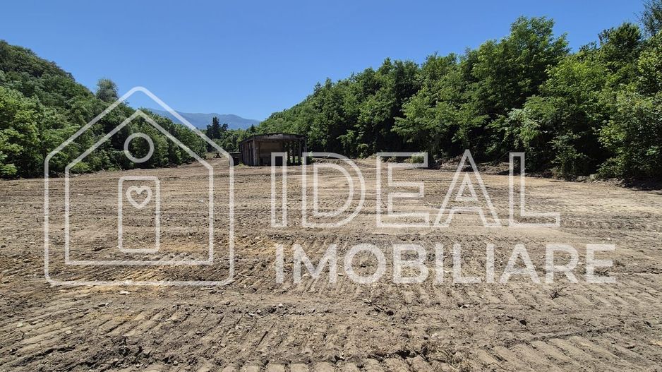 Teren intravilan 18.259 mp + construcție industrială, Mârșa - Poză 1