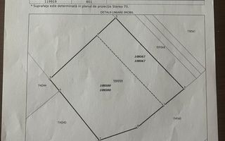 Teren intravilan 801mp | Țegheș, Comuna Domnești | Zonă în dezvoltare - Poză 3