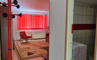 Apartament renovat cu o camera pe 2 nivele | Curte | Parcare | Grigorescu - Poză 9
