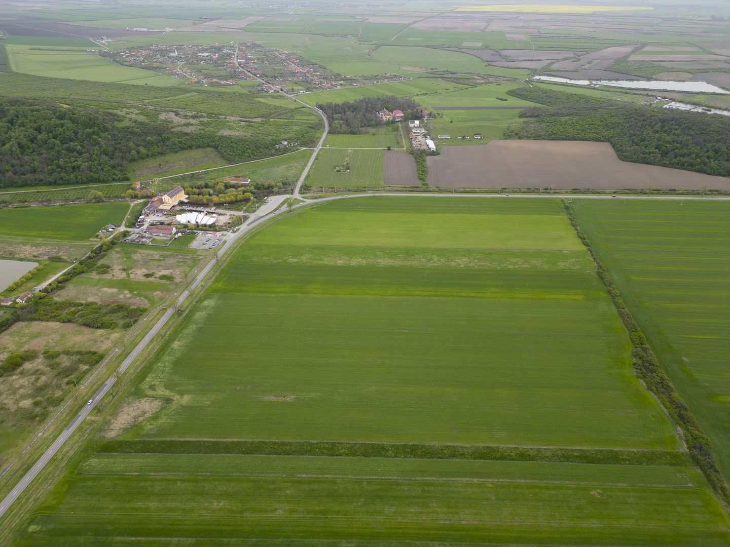 Teren extravilan de 22500mp Zona Ineu - Poză 3