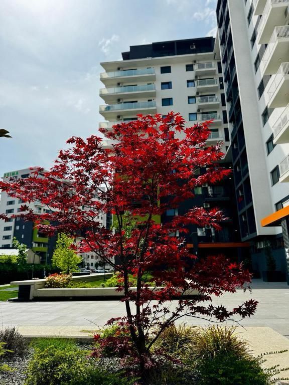 APARTAMENT PRIMA RESIDENCE - Poză 25