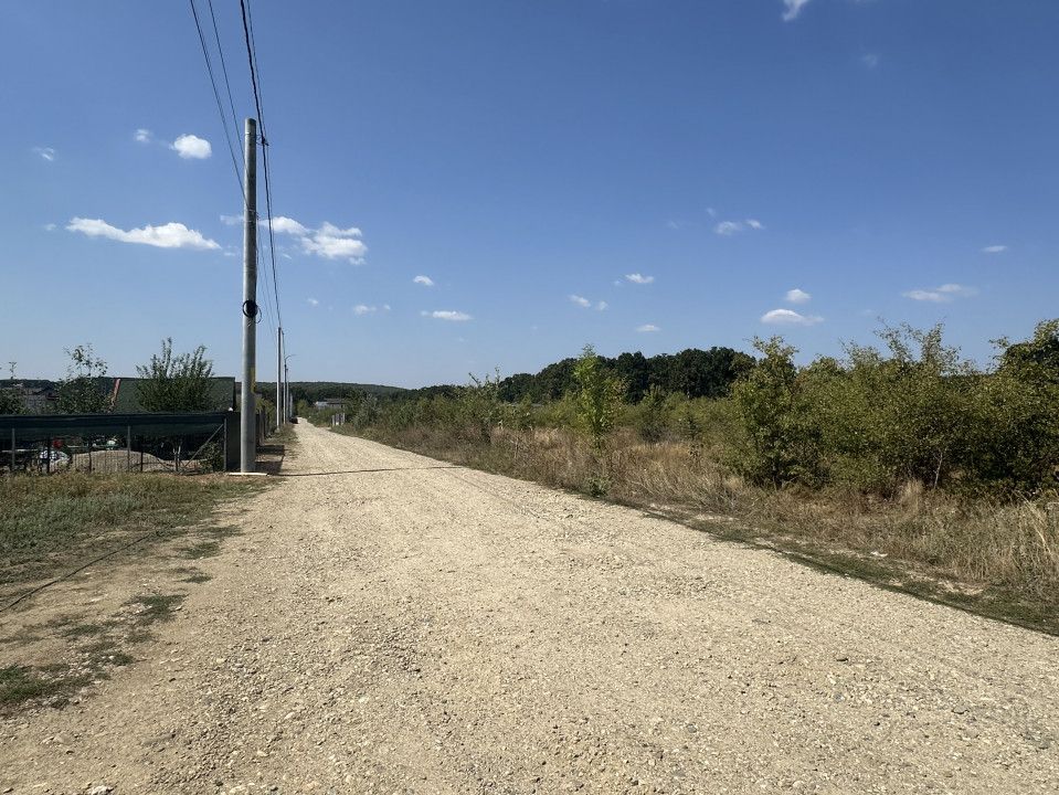 Teren zona Magic Trivale intravilan 1040 mp - Poză 4