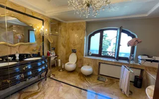 Domeniu vila Balotesti 4000 mp teren 60 m deschidere lac - Poză 30