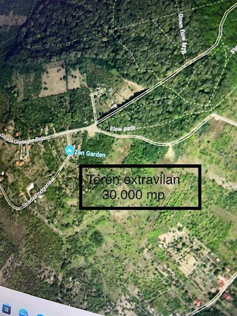 Vindem 30.000 mp teren ext, cu panorama-Gh Doja padure- 9 EURO/MP - Poză 1