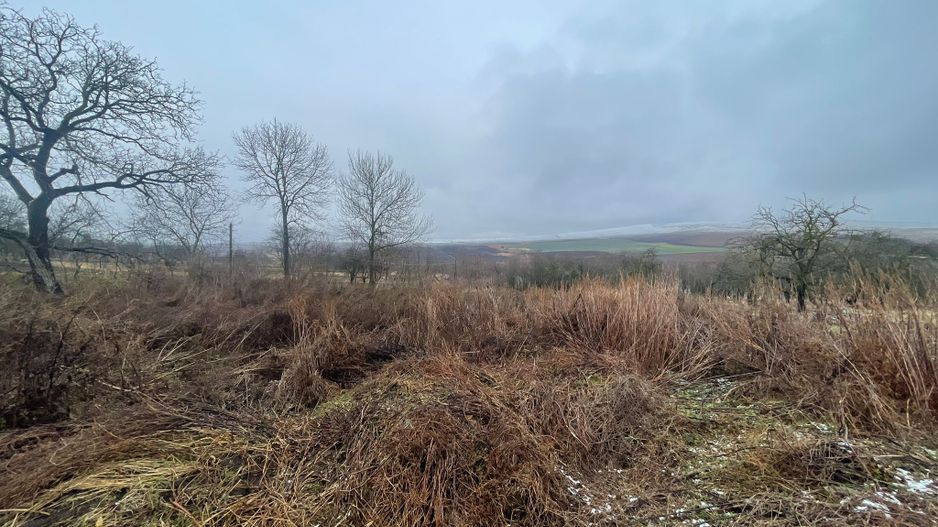 Casa Demolabila | Rediu | Teren 3278 mp | Posibiliate parcelare - Poză 5