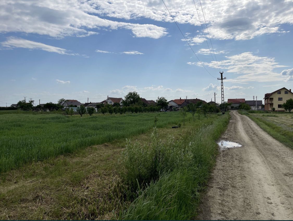 Teren intravilan - Poză 5