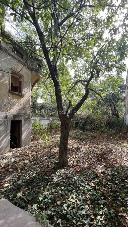 Casa de vanzare - Cismigiu - Poză 8