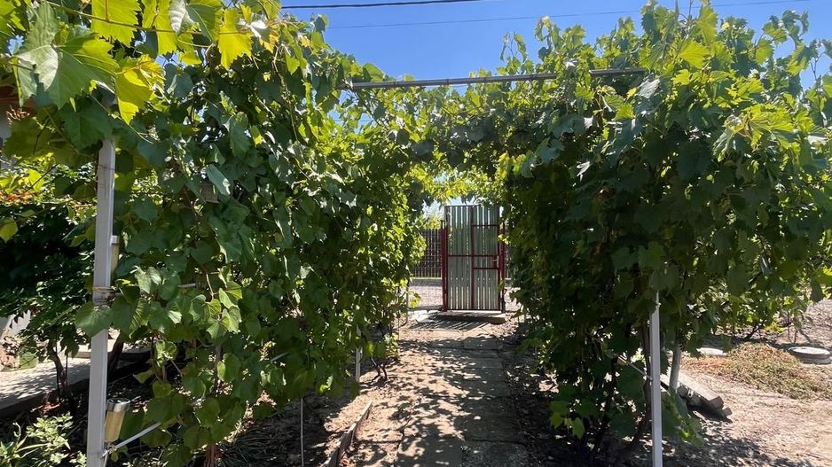 Casă individuală de vânzare în Braniștea - Teren 464 mp -76000 euro - Poză 3