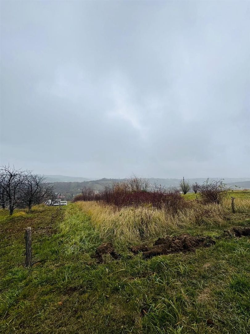 Teren Intravilan 2149 mp strada Sofiei - Poză 2