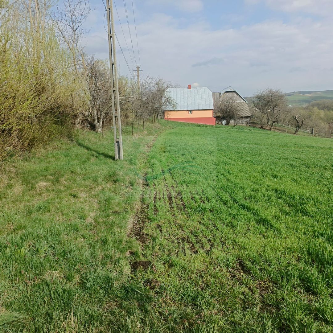 Teren intravilan Ilișești/Suceava - Poză 1