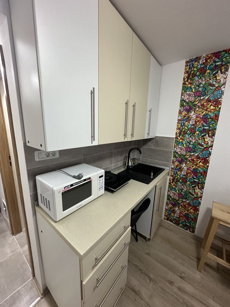 Apartament 1 camera la Mansarda - Poză 5