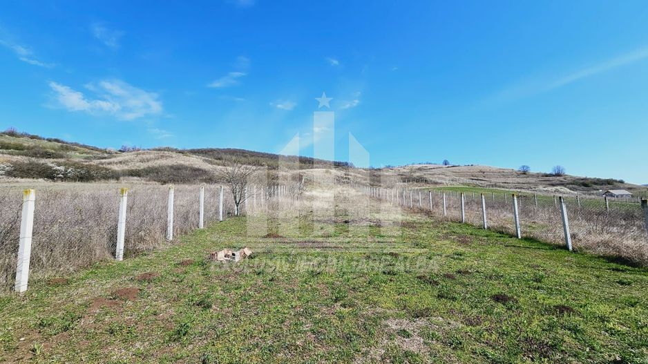 Casa individuala de vanzare, Teleac - Poză 11