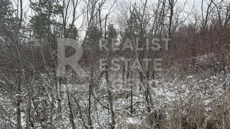 Teren extravilan/ fostă livadă/ zona Bucium, Iași - Poză 4