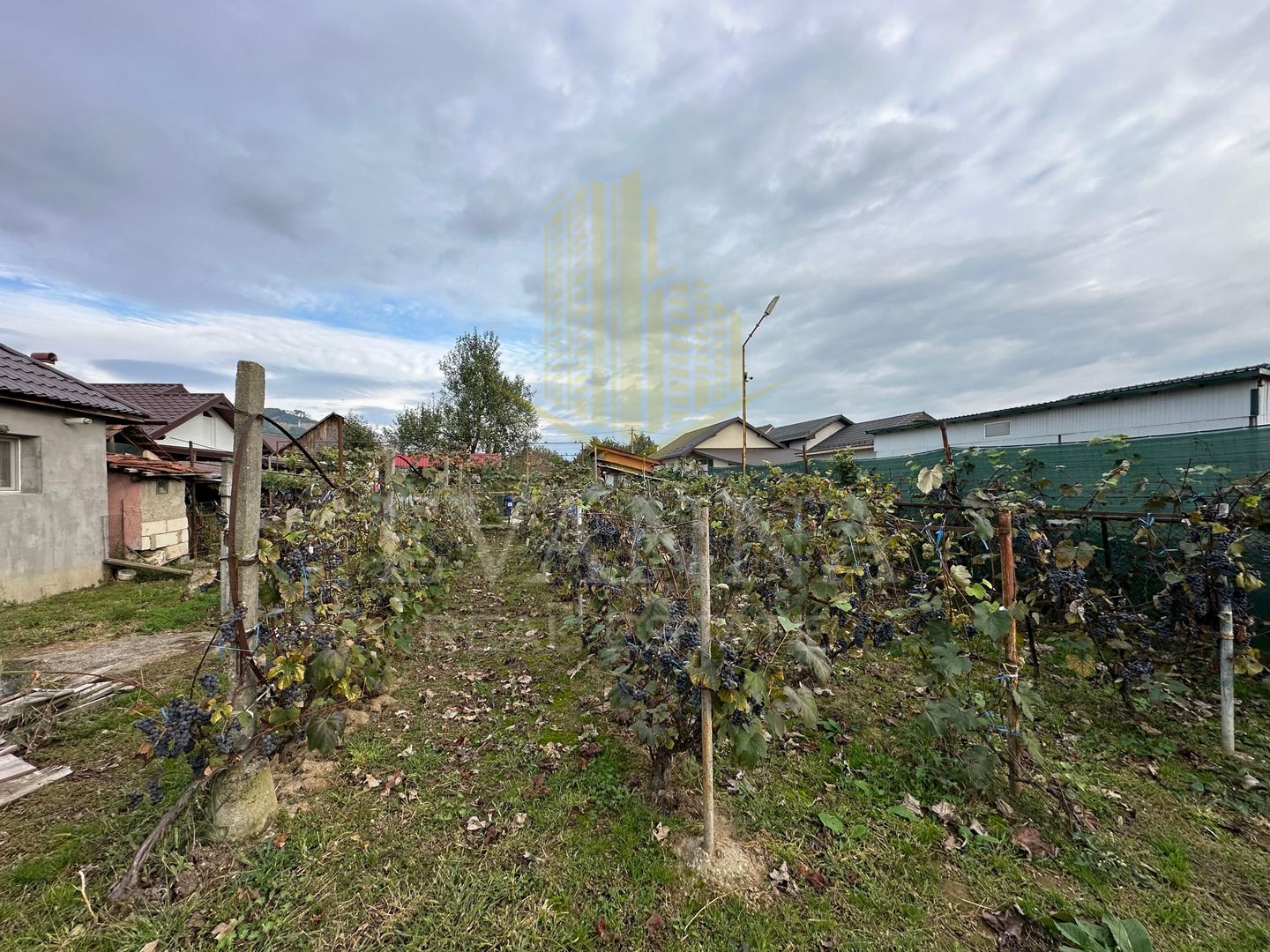 Casa de vanzare Seini - Poză 11