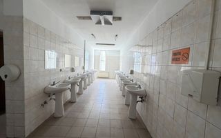 Hala industriala 4.300mp | Sagului | Timisoara | - Poză 18