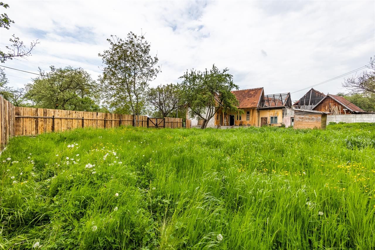 Casa traditionala + 8.500 mp teren, intravilan, Sinca Noua, Brasov - Poză 2