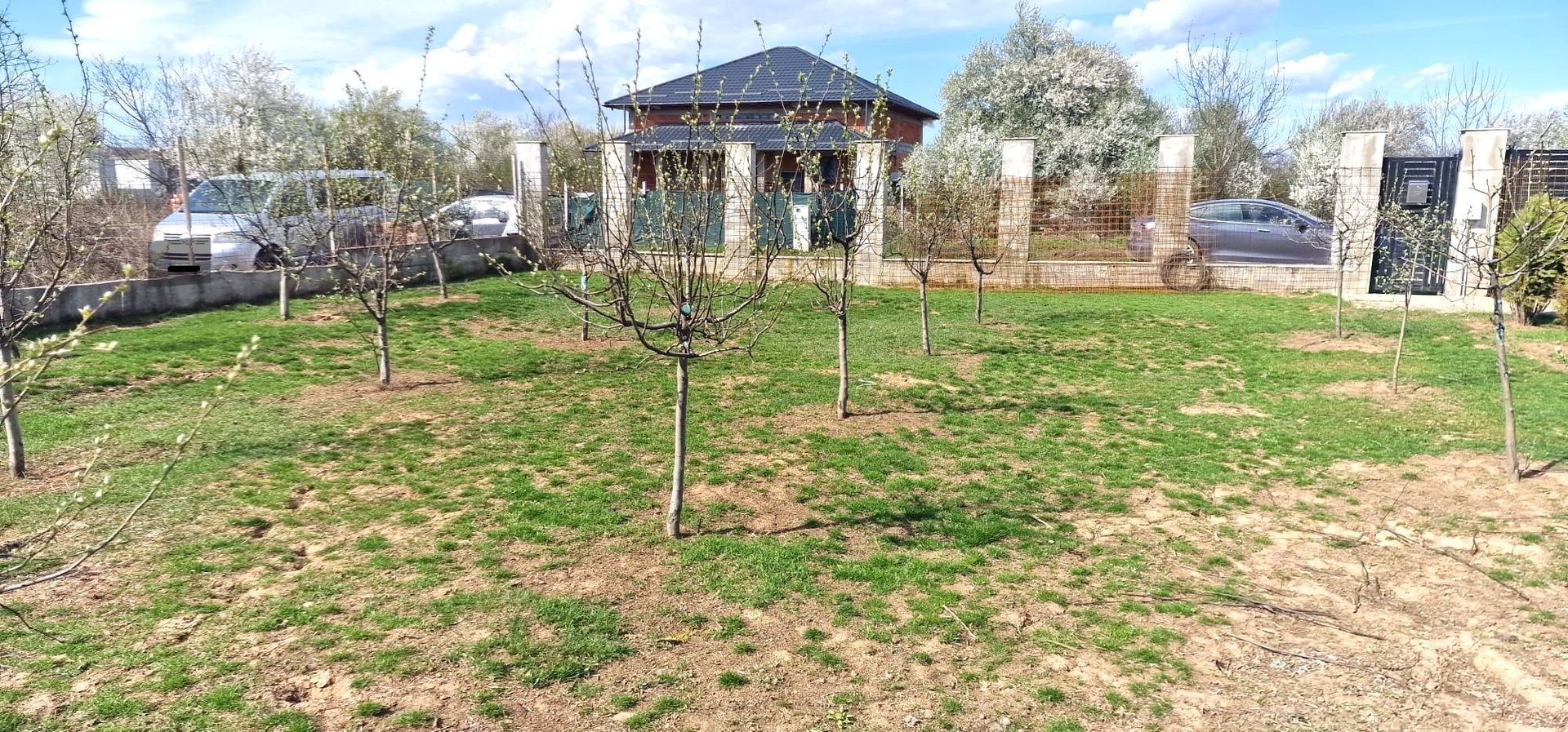 0%comision - Teren Tancabesti ingradit - Poză 7