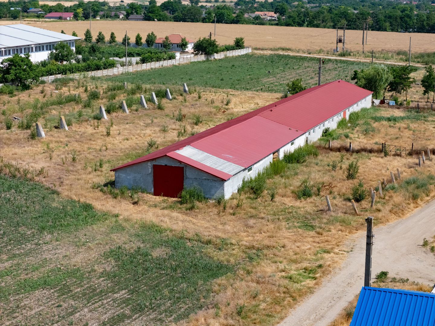 Cogealac - Tariverde – Ferma cu teren intravilan, utilitati racordate! - Poză 6