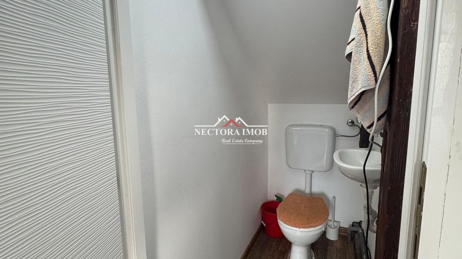 NECTORA IMOB-Spatiu comercial P+M, Ultracentral, Zona Piața Ferdinand - Poză 9