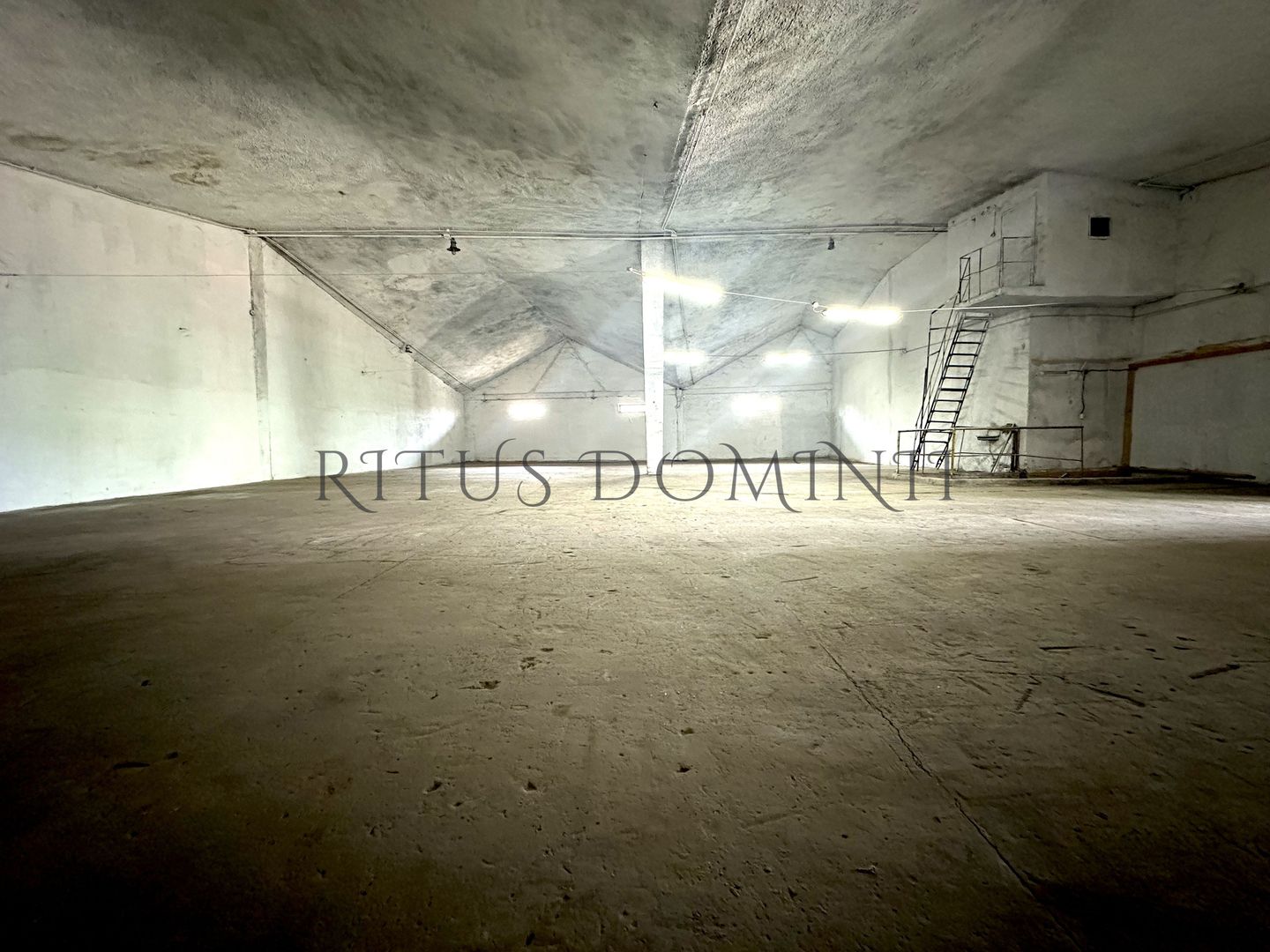 Hala industriala de Inchiriat, Oradea-Est, 524m2 - Poză 3