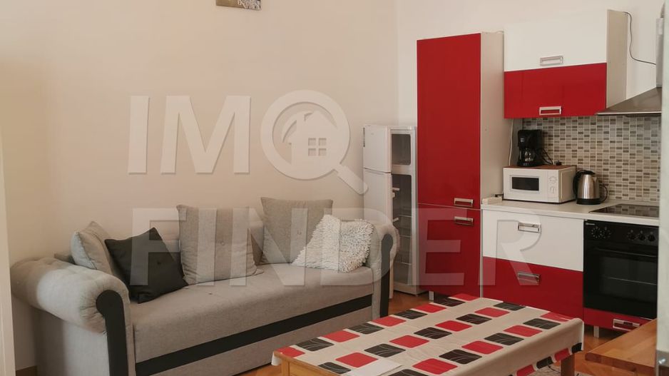 Apartament Finisat Mobilat  2 camere Horea - Poză 5