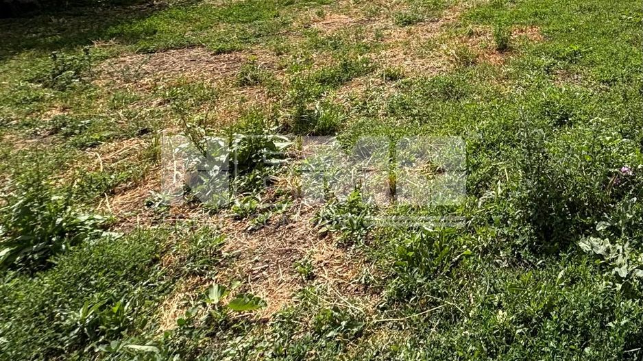 Teren intravilant | 900 MP | Burdujeni, Suceava - Poză 3