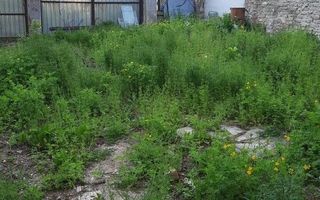 Teren intravilan | 411 mp | Bucurestii Noi - Poză 3
