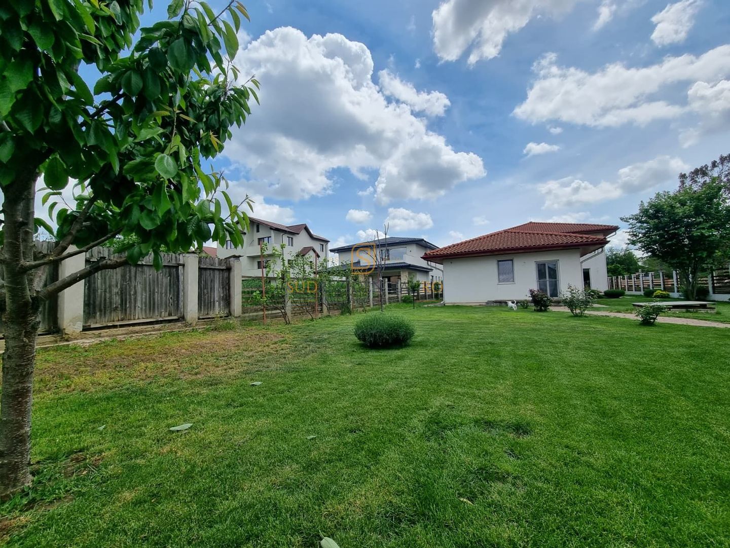 Vilă individuală premium | 244 mp utili | Teren 894 mp | Berceni - Poză 4