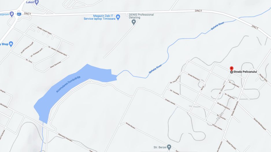 De vanzare Teren Comercial cu PUZ si Urbanism-Dumbravita | Comision 0% - Poză 2