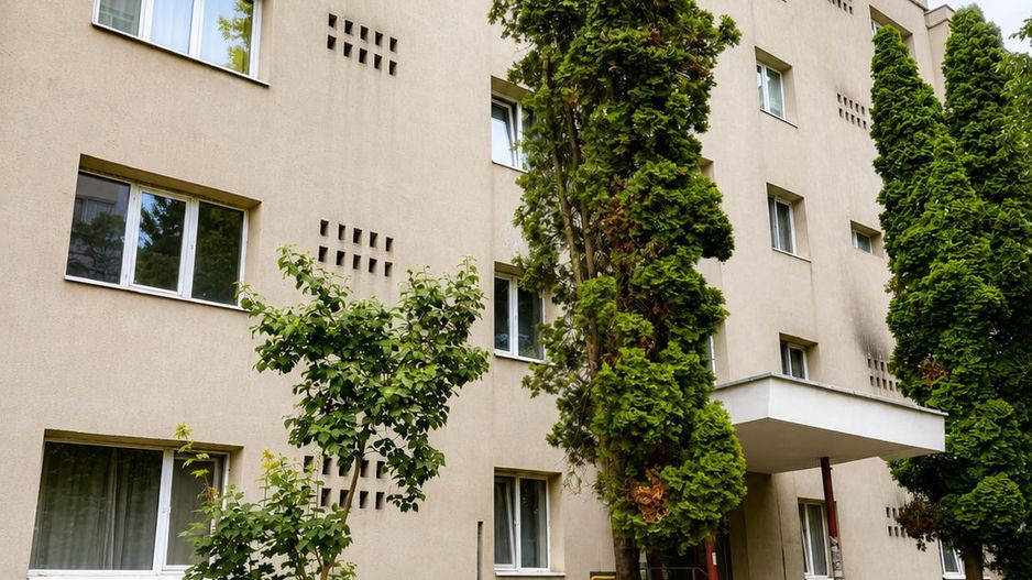 Apartament 3 camere, 63 mp, logie și boxă - Poză 1