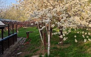 Teren de 2000 mp cu casă în Bucium Pietrarie, Iași – 3 camere, 2 băi, garaj - Poză 4