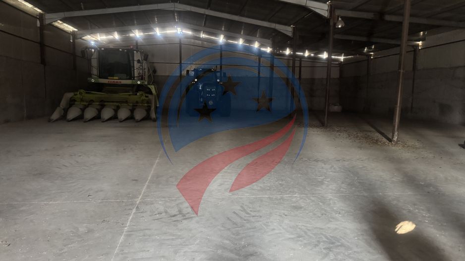 Spații de Depozitare de Închiriat – Brabova, la 30 km de Craiova - Poză 8