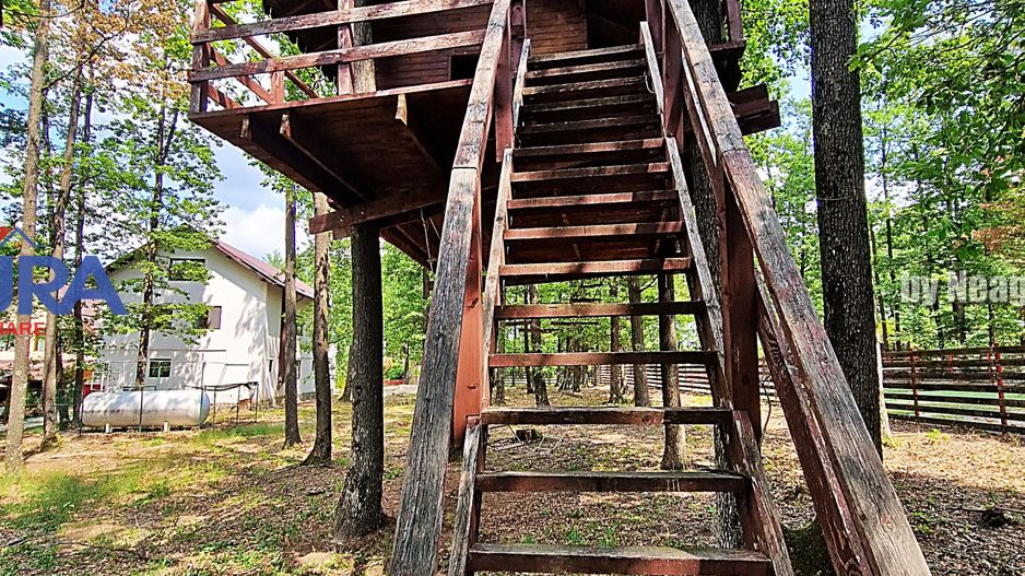 Casă de vacanță în pădure, 10 km de Pitești - Babana - Poză 22
