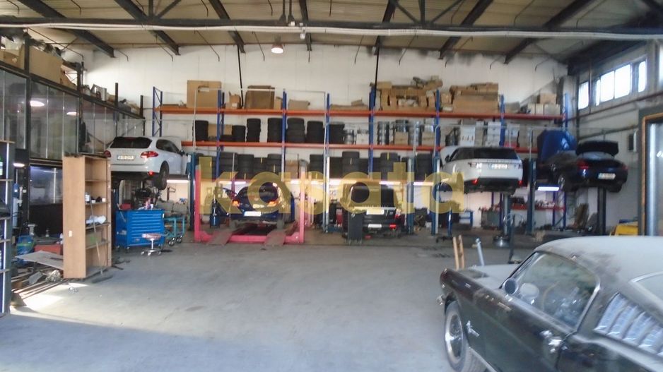 OPORTUNITATE | TEREN | HALE - Poză 9