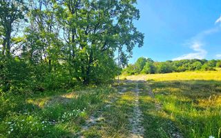 Teren intravilan construibil 3.500 mp Păcureți | UTR 6, P+2, POT 30% - Poză 4