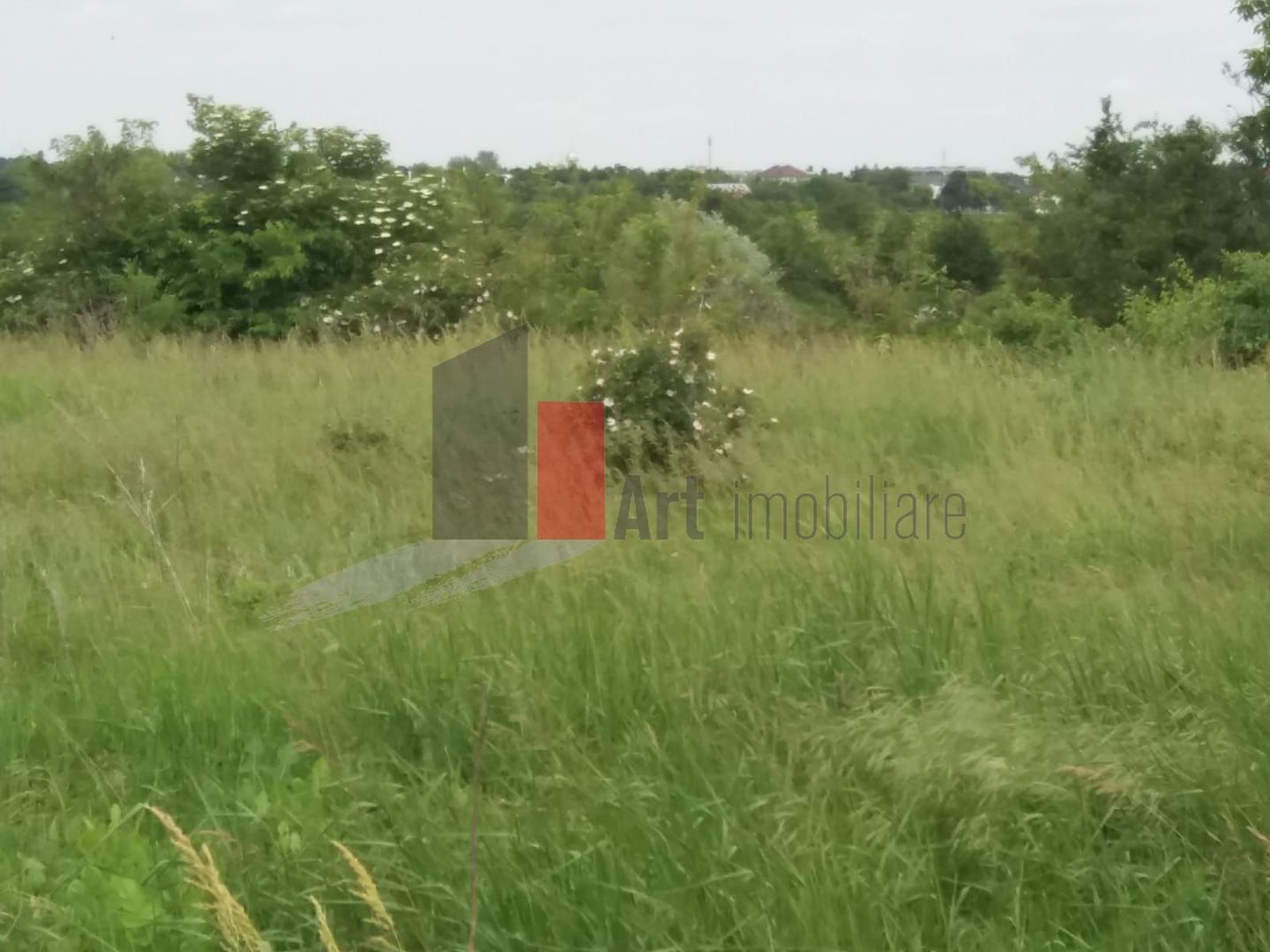 Teren Buftea cu iesire la lac - Poză 14